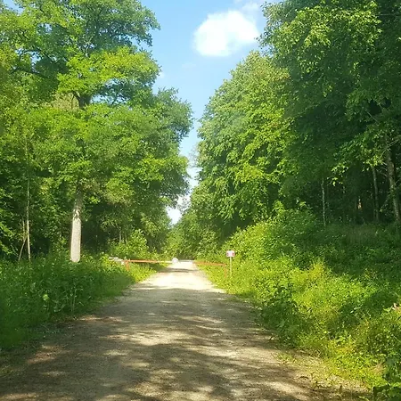 Entre vigne et forêt Hébergement de vacances *